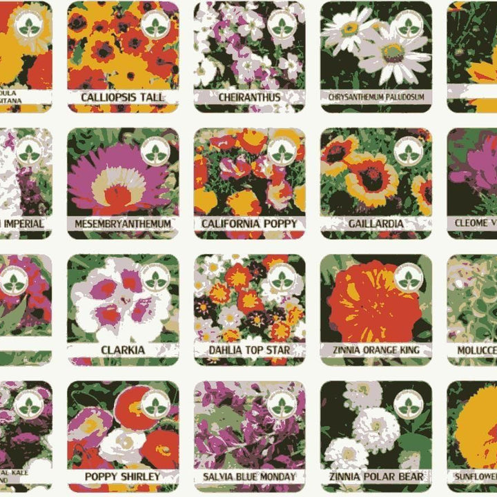 Buy Varieties of Flower Seeds (Pack of 100) And Get Plant Growth Supplement Free